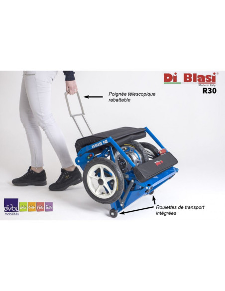 Scooter DI BLASI mod. R30