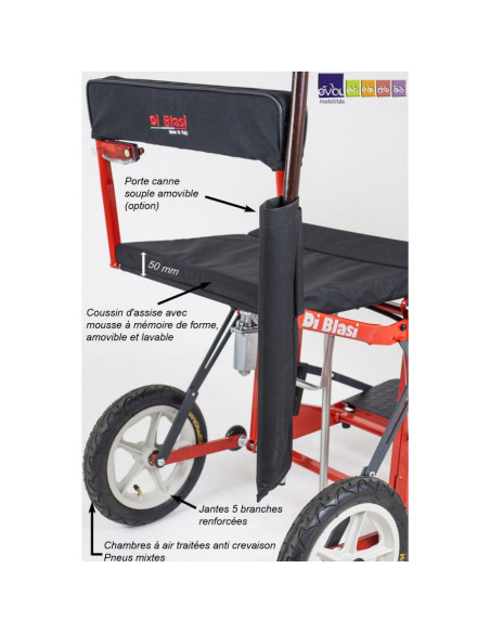 Scooter DI BLASI mod. R30