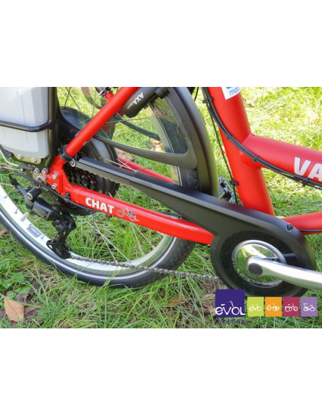 Triporteur Vélo Taxi / Pousse Pousse - Van Raam Chat Electrique Bonne Affaire