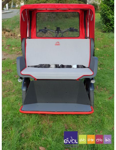 Triporteur Vélo Taxi / Pousse Pousse - Van Raam Chat Electrique Bonne Affaire