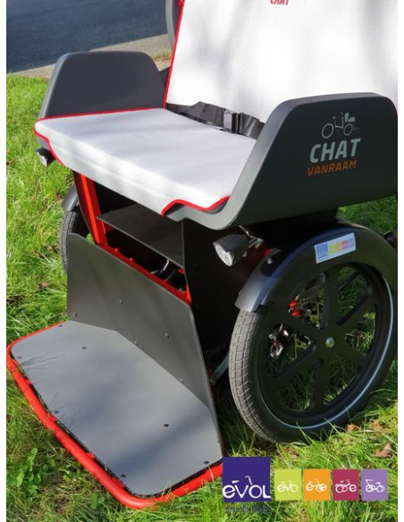 Triporteur Vélo Taxi / Pousse Pousse - Van Raam Chat Electrique Bonne Affaire