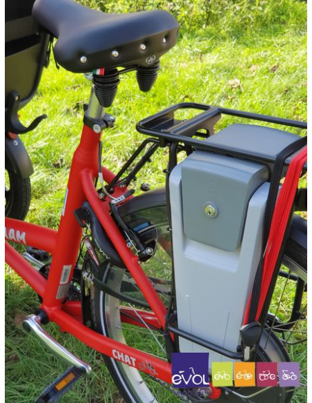 Triporteur Vélo Taxi / Pousse Pousse - Van Raam Chat Electrique Bonne Affaire