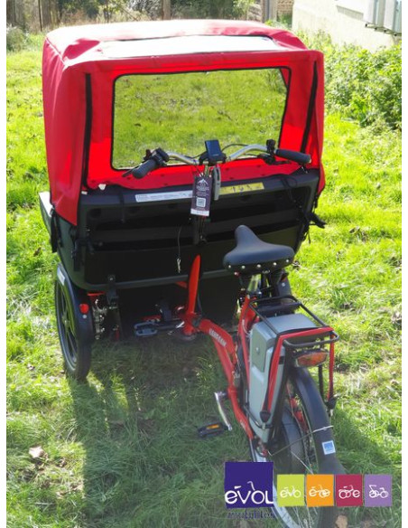 Triporteur Vélo Taxi / Pousse Pousse - Van Raam Chat Electrique Bonne Affaire