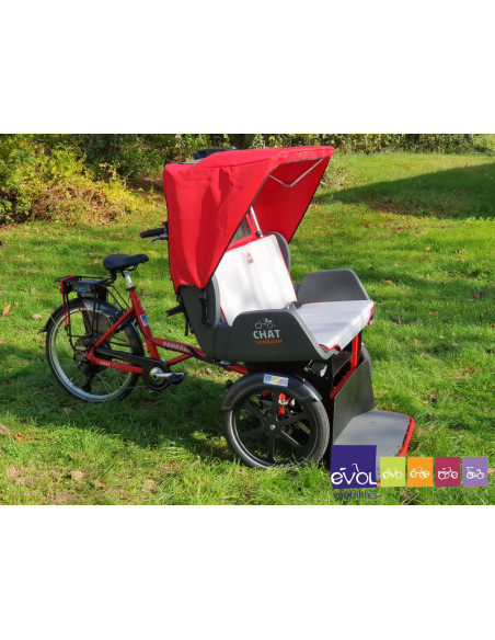 Triporteur Vélo Taxi / Pousse Pousse - Van Raam Chat Electrique Bonne Affaire