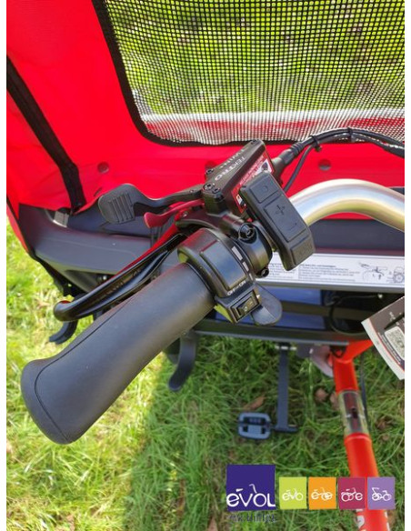 Triporteur Vélo Taxi / Pousse Pousse - Van Raam Chat Electrique Bonne Affaire