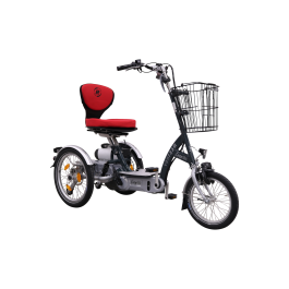 Tricycle scooter adulte Easygo - Tricycles électriques - Tricycles