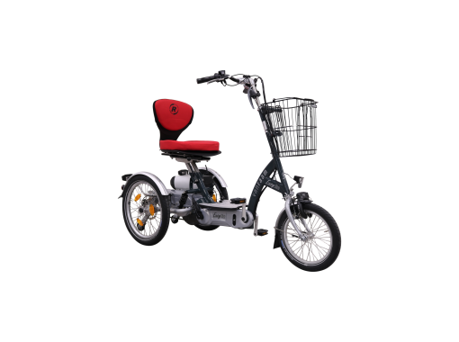 Tricycle scooter adulte Easygo
