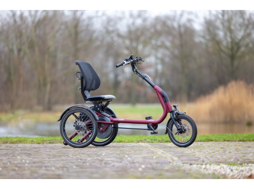 Tricycle Easy Rider Compact électrique